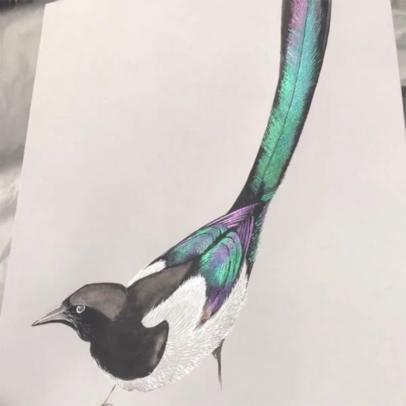 20 kleuren aquarelverfset