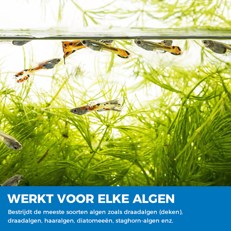 Aquarium zuiverend poeder