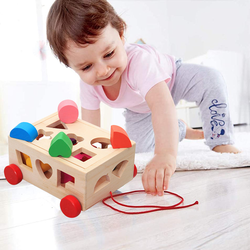 De Cube Car Houten Speelset (15 Vormen)