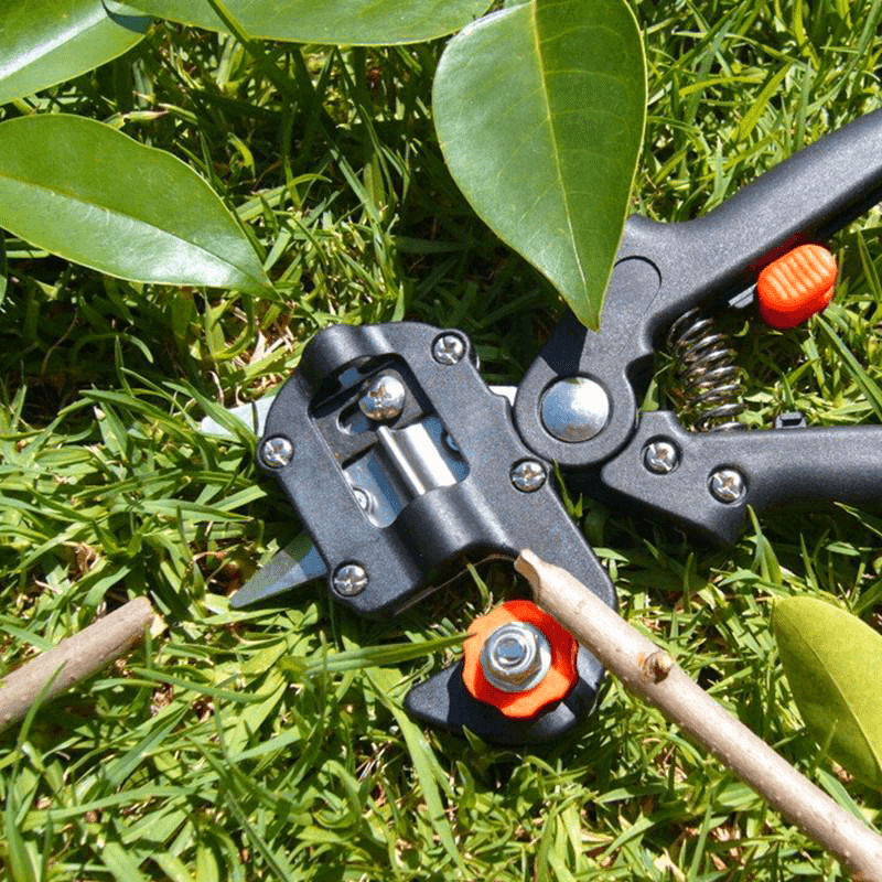 Domom® Professional Garden Enting Tool Kit