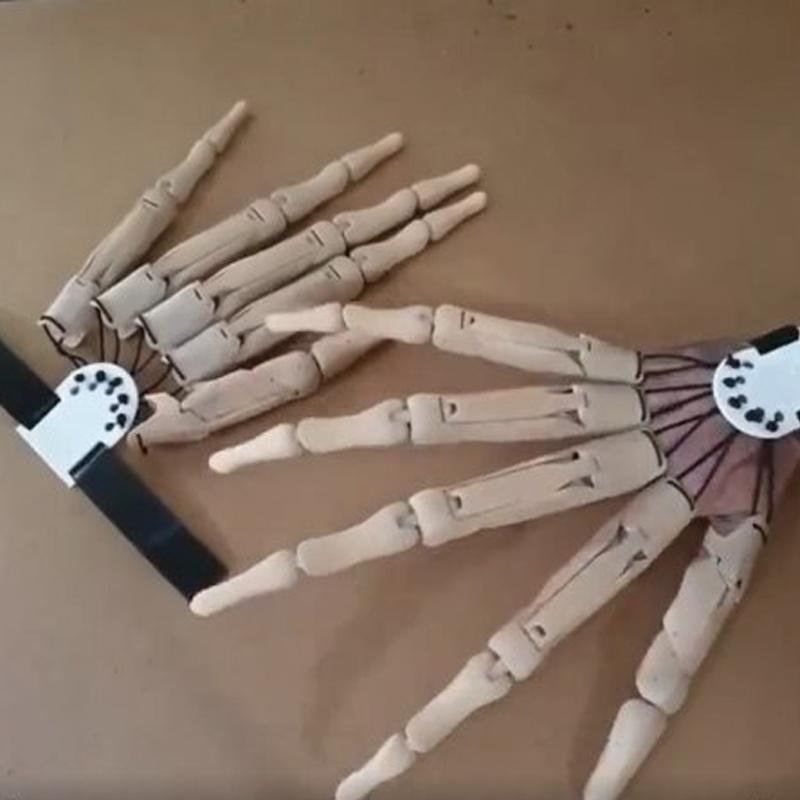 Halloween Rekwisieten Gelede Vingers
