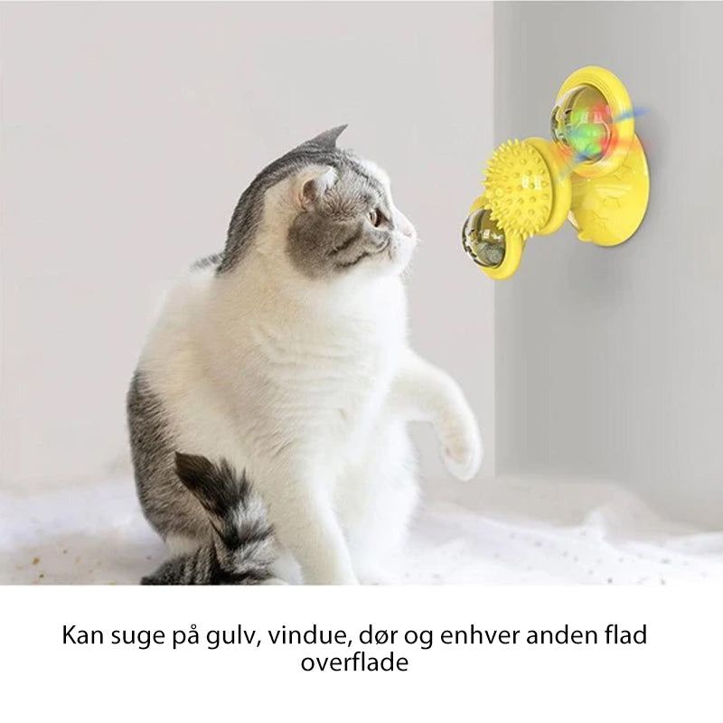 Windmolen Kattenspeeltje