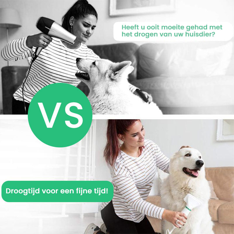 Huisdier Föhn Borstel