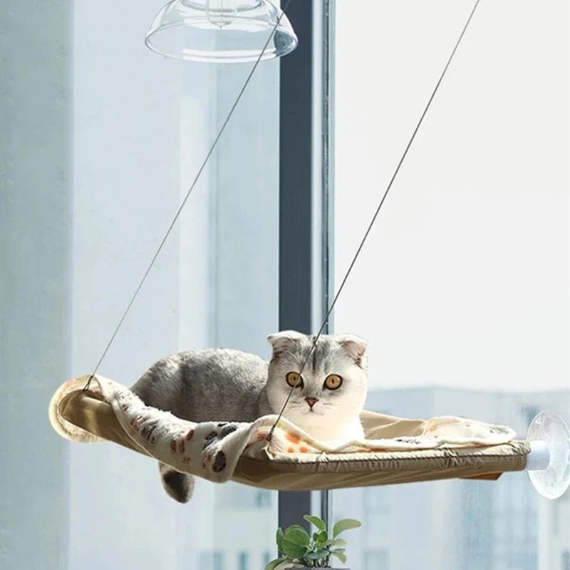 Dierbenodigdheden Zuignap Kat Hangmat