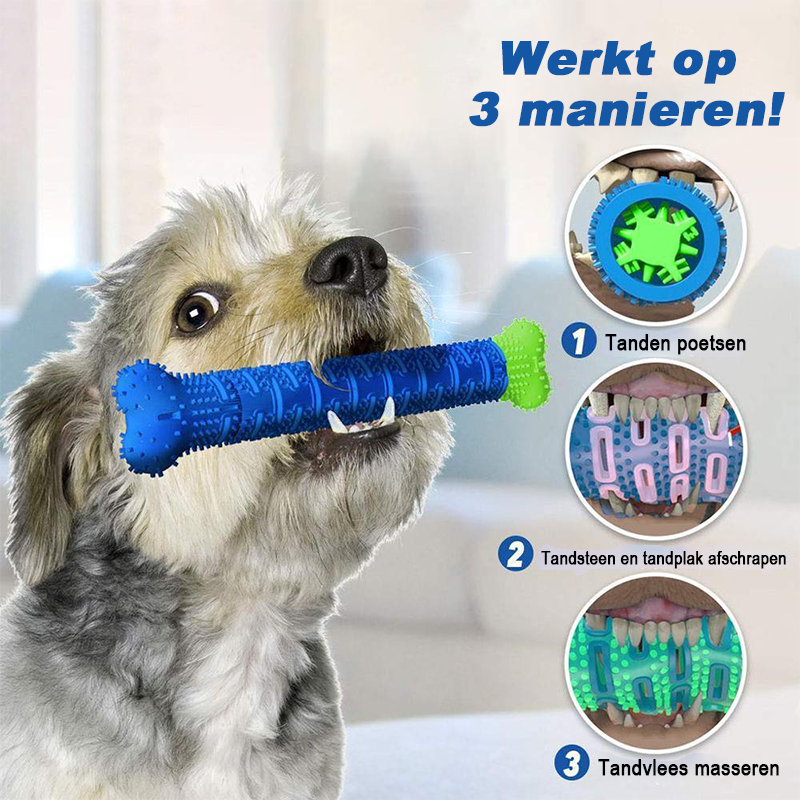 Honden Kauwborstel Tandenborstel | Tandenreinigingsspeelgoed