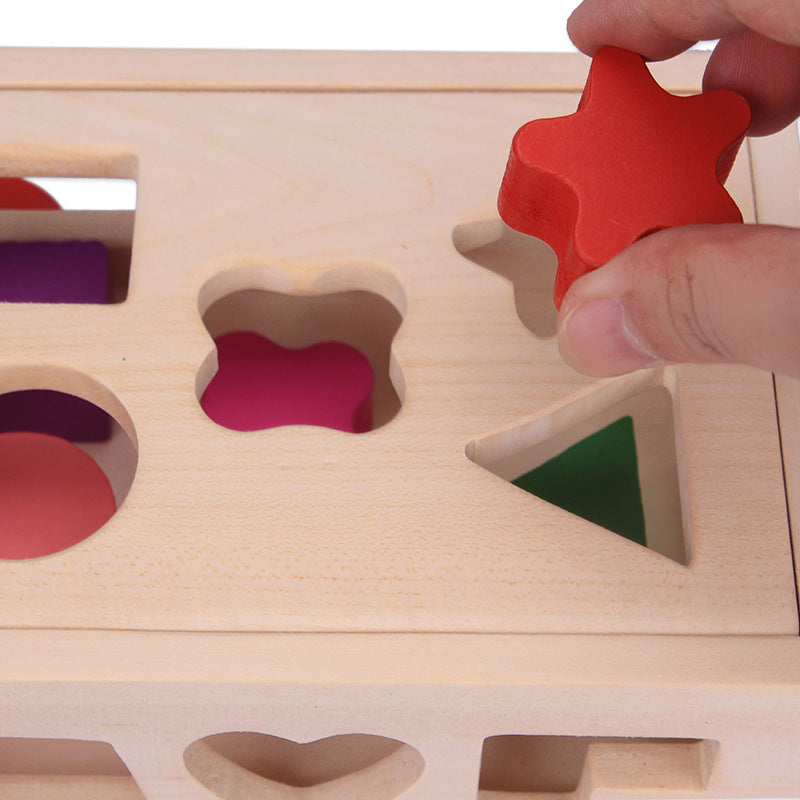 De Cube Car Houten Speelset (15 Vormen)