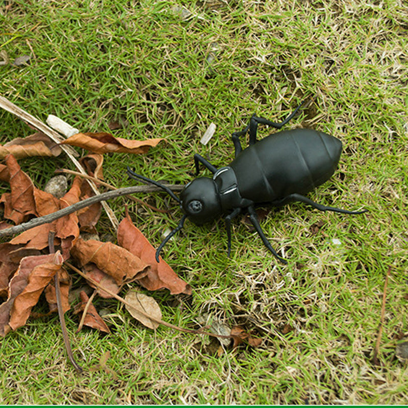 Elektrisch dierenspeelgoed met afstandsbediening