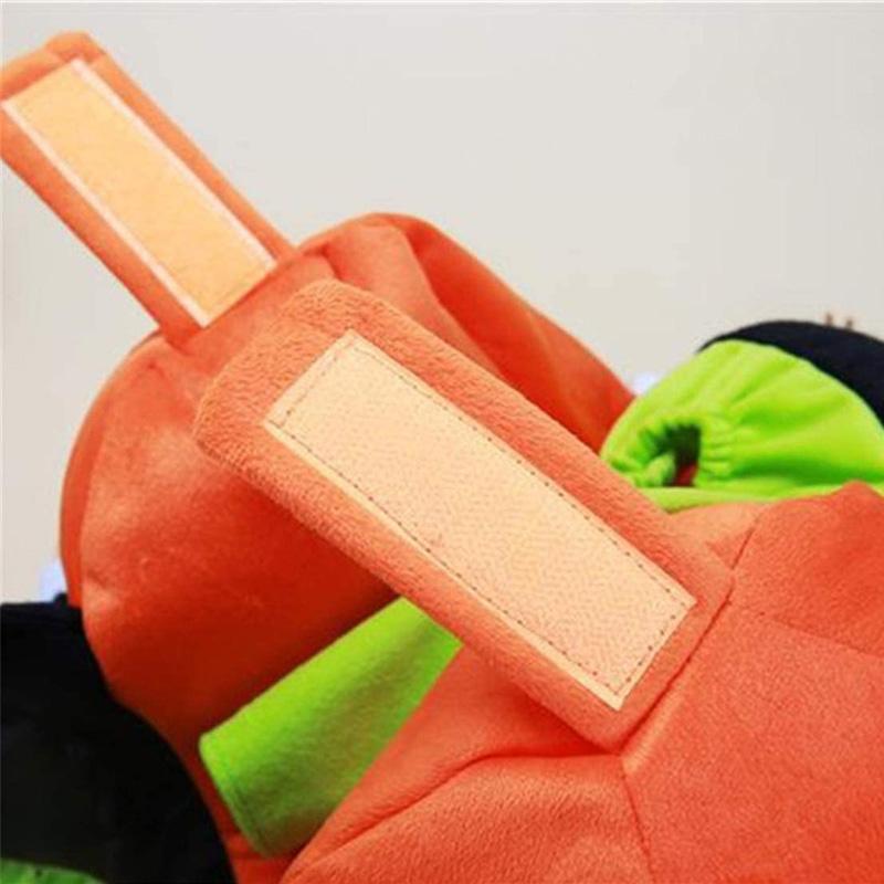 Halloween-kostuum voor hondenpompoen