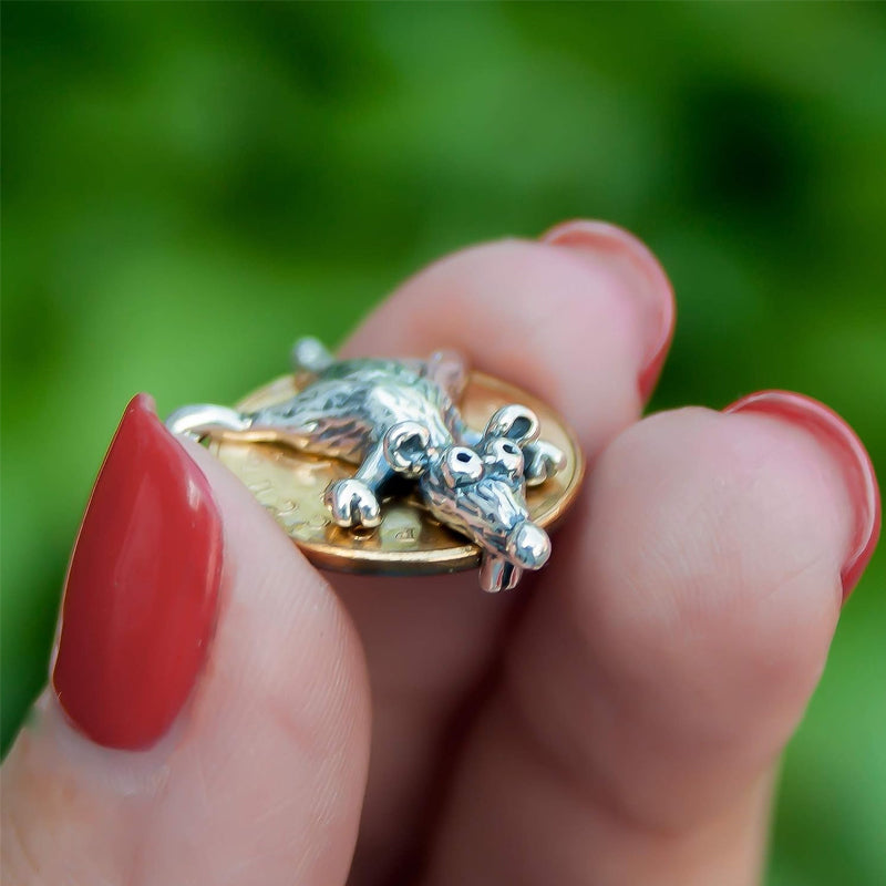 Muis charme Talisman