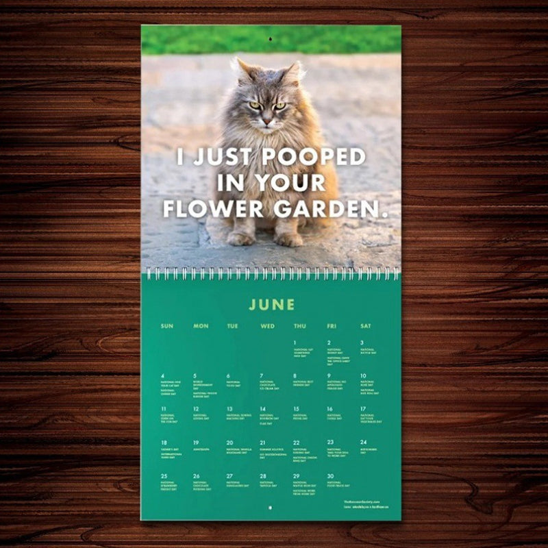 😾Kalender voor pissige katten 2024