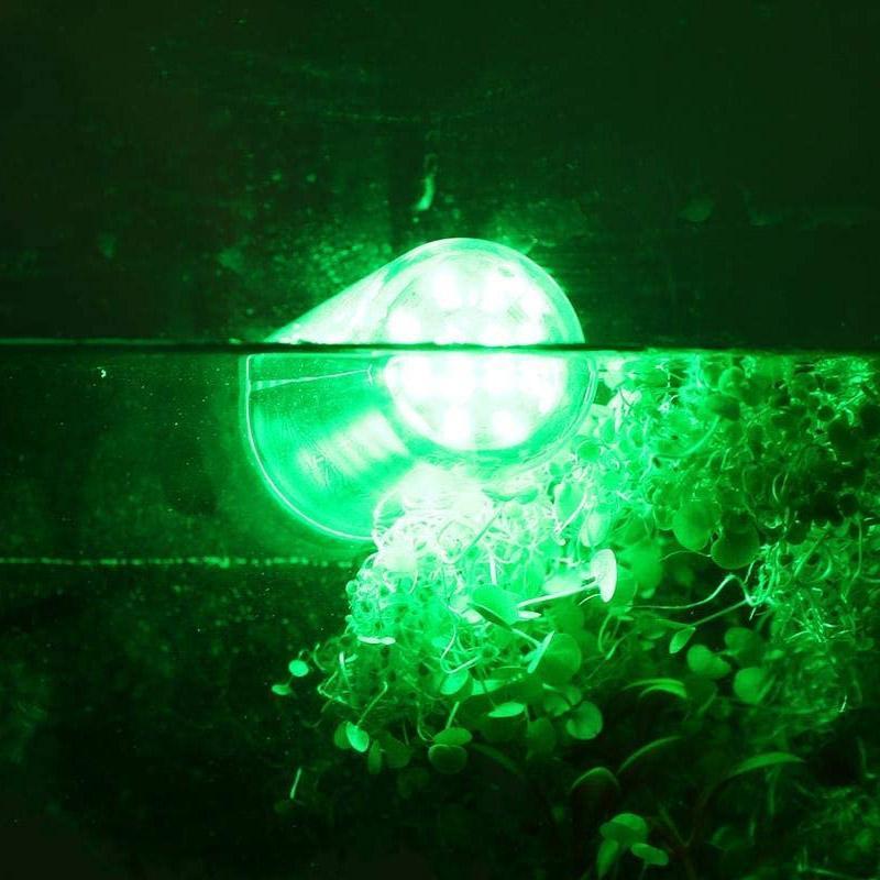 Multifunctioneel vissen LED-licht Vissen