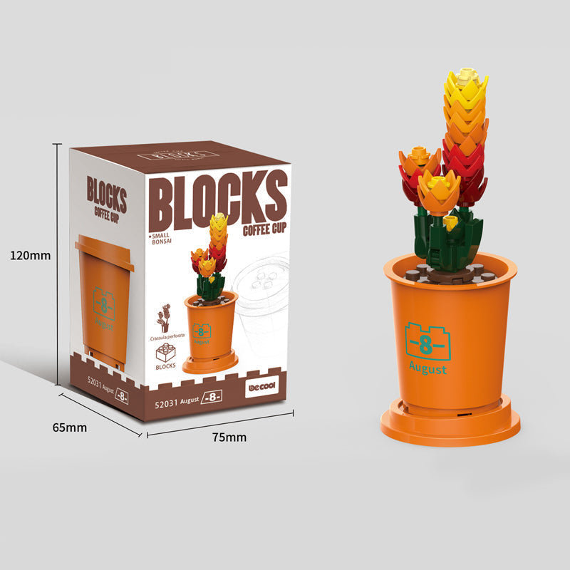 Koffiekopjes planten potblokken