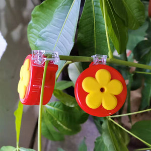 Flower Bar Hummingbird voeder