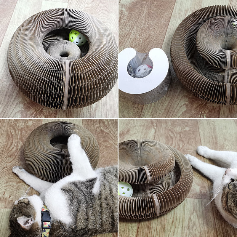 Krabplank voor katten met magische accordeon