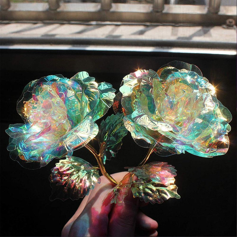 Kleurrijke Galaxy Rose met liefde