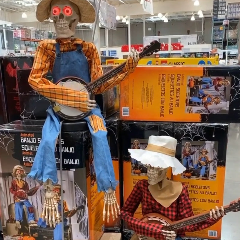 Grappige geanimeerde duellerende banjo-skeletten