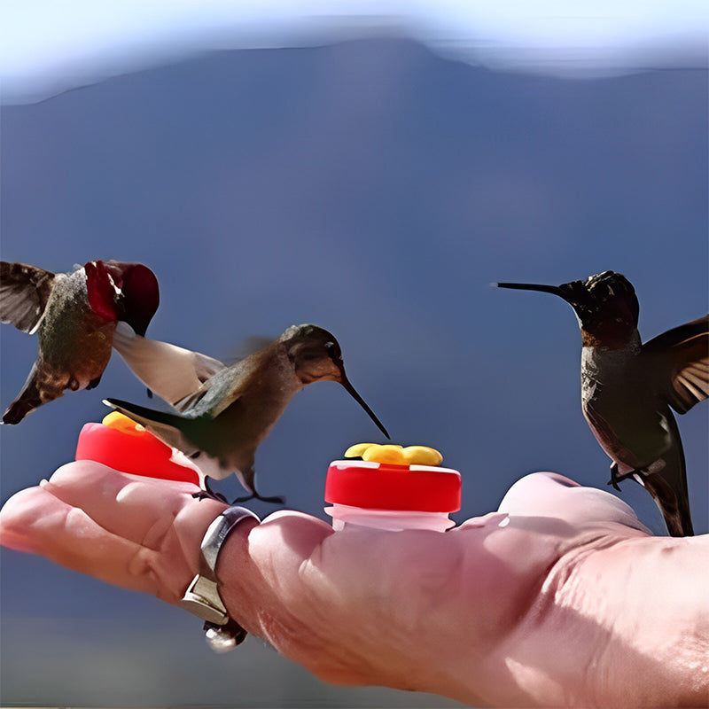 Flower Bar Hummingbird voeder