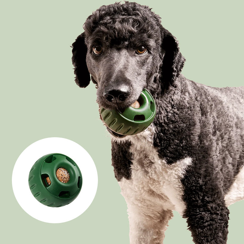 Opvulbaar Slow Food-speelgoed voor honden