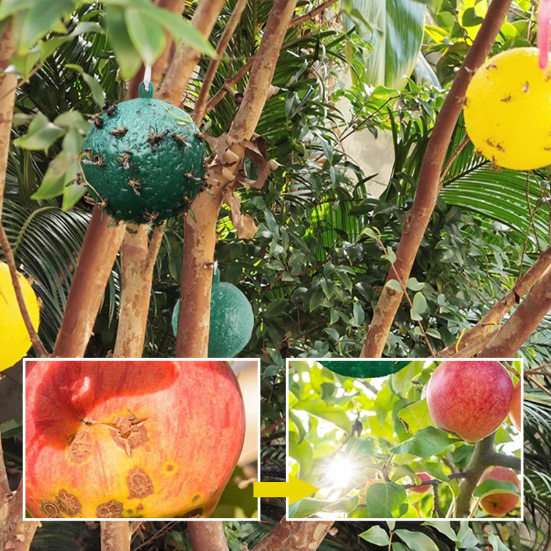 Opknoopbare Milieuvriendelijke Fruitvlieg Kleefvallen