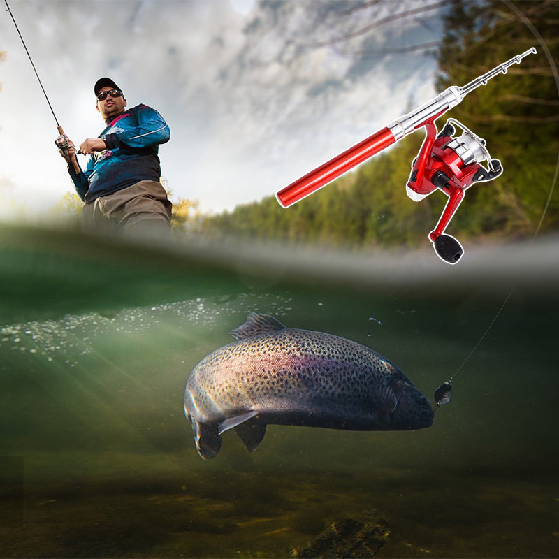 Hengel in zakformaat