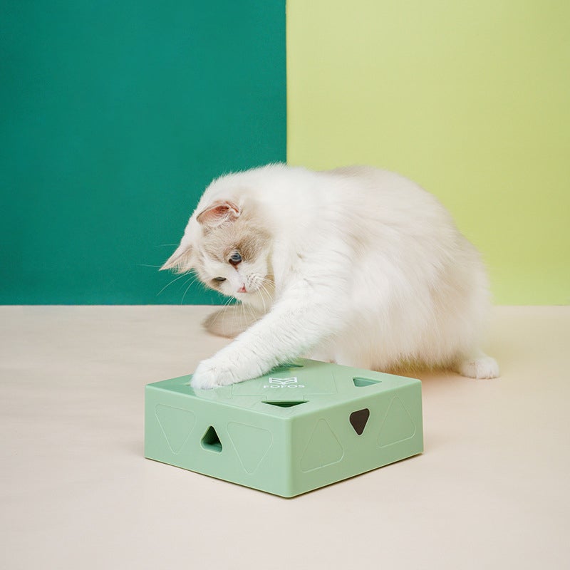 Elektrische Funbox voor Katten