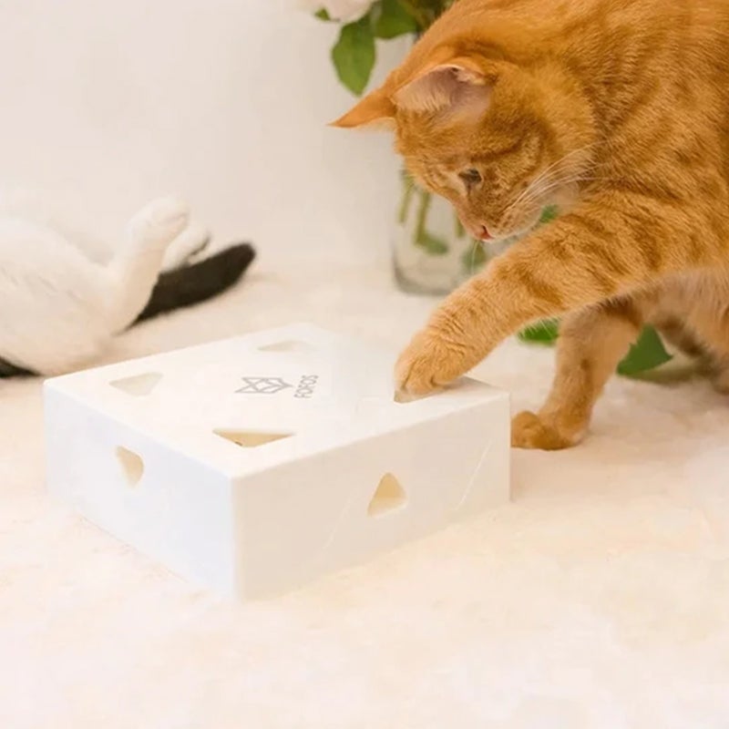 Elektrische Funbox voor Katten