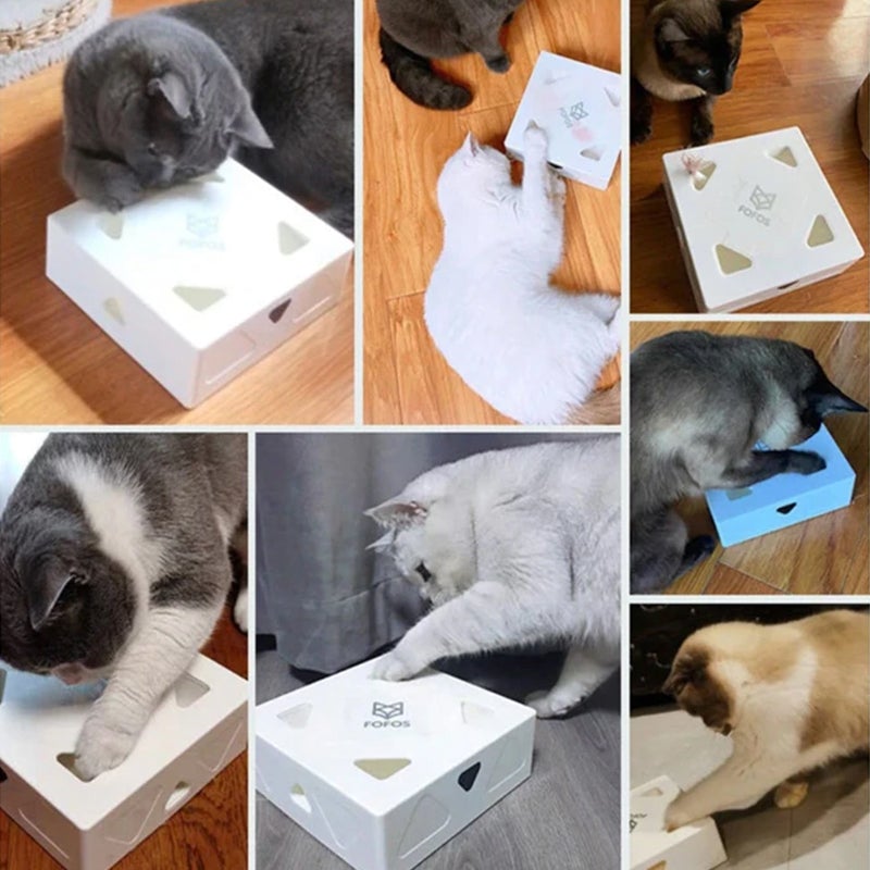 Elektrische Funbox voor Katten