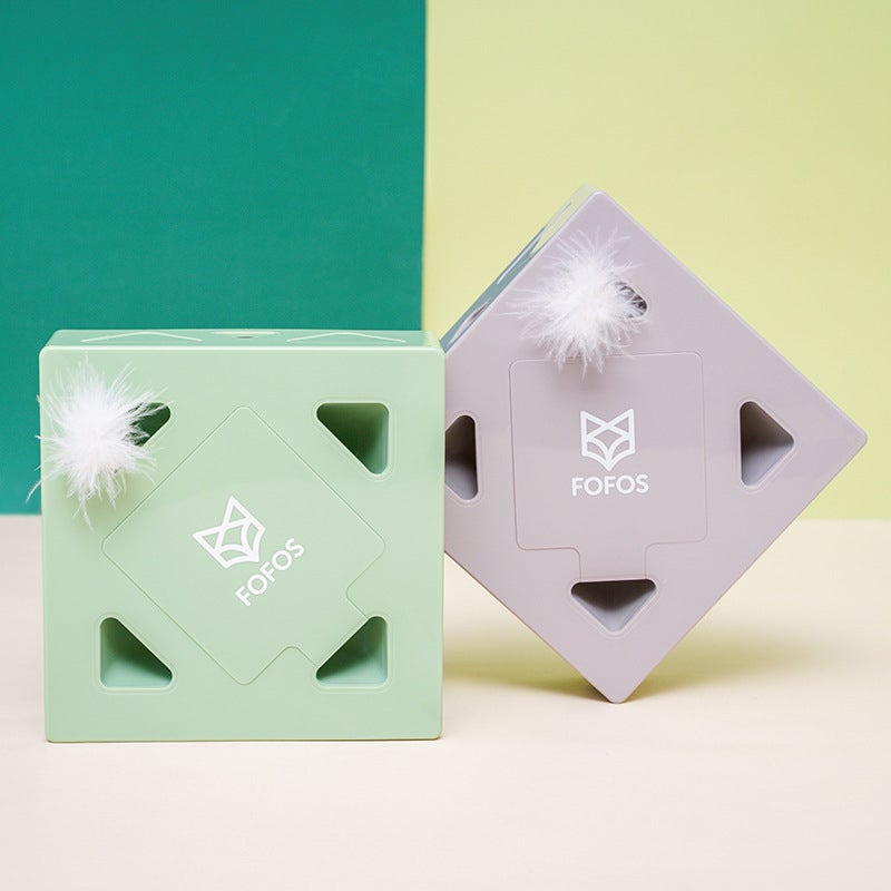 Elektrische Funbox voor Katten