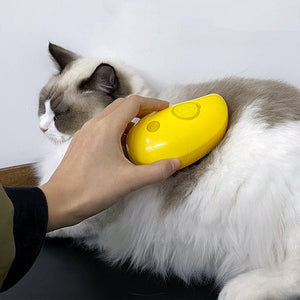 Huisdier Spray Massagekam