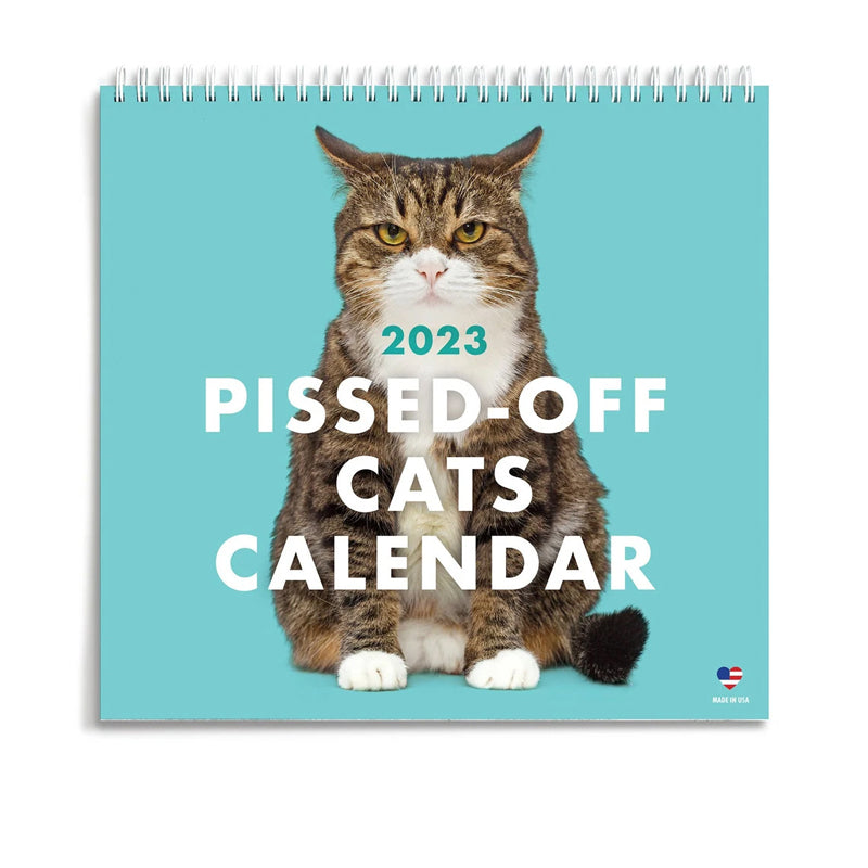 😾Kalender voor pissige katten 2024