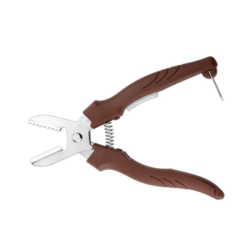 Walnoot Kastanje Moer Shell Opener