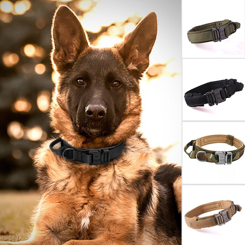 Halsband Met Handvat